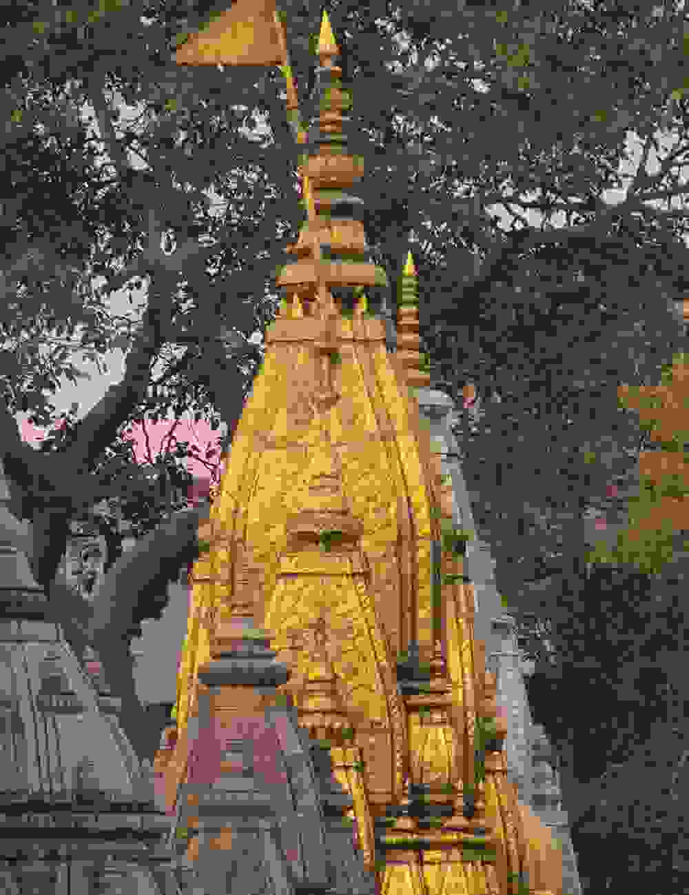 kashi-vishwanath-temple-in-varanasi