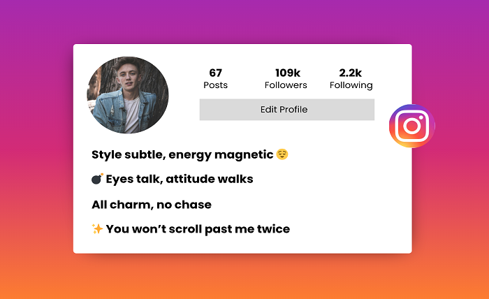 instagram bio for boys attitude
