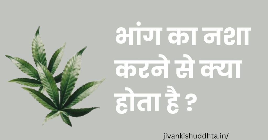 Bhang Khane Se Kya Hota Hai