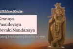 Krishna Mantra Krsnaya Vasudevaya Devaki Nandanaya 